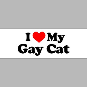 I Love My Gay Cat Funny LGBTQ Meme Bumper Sticker & Car Magnet