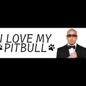I Love My Pit Funny Gen Z Bumper Sticker & Car Magnet