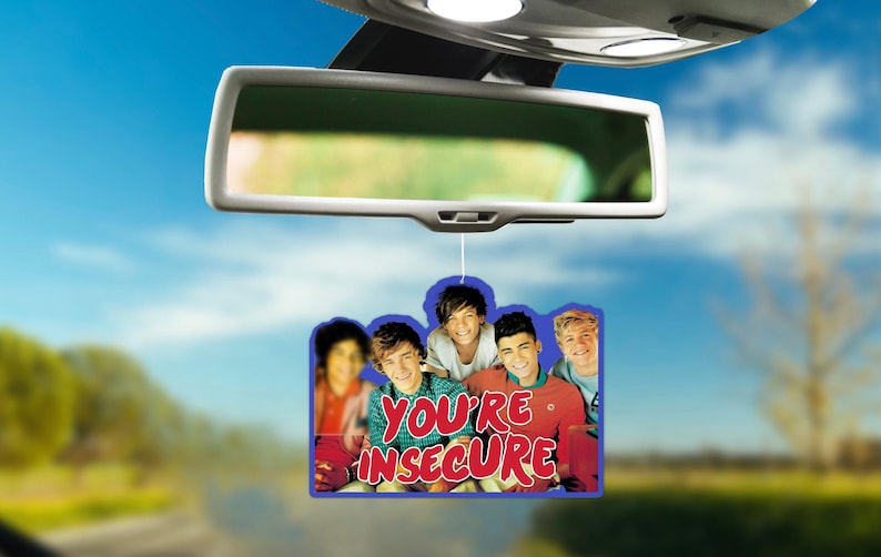 You're Insecure Funny Gift Hanging Air Freshener for Cute Car Decor image 1