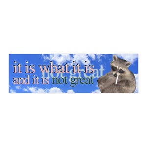 It Is What It Is And It Isn&#39;t Great Raccoon Funny Unhinged Meme Bumper Sticker & Car Magnet