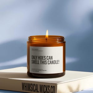 Only Hoes Can Smell This Candle | Funny Adult Humor Gift | Snarky Friendship Present | Gag Gift for Best Friends