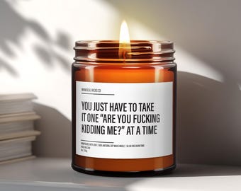 You Just Have To Take It One Are You F*cking Kidding Me, Funny Scented Candles, Snarky Candle, Best Friend Gifts