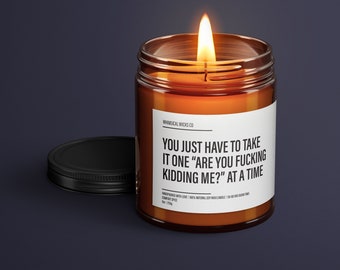 You Just Have To Take It One Are You F*cking Kidding Me Soy Wax Candle | Funny Gift Ideas | Funny Candles | Gift For Her | Best Friend Gift