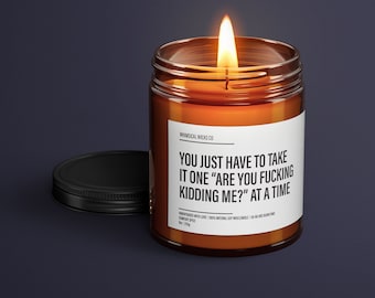 You Just Have To Take It One Are You F*cking Kidding Me Soy Wax Candle | Funny Gift Ideas | Funny Candles | Gift For Her | Best Friend Gift