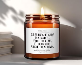 Our Friendship is Like This Candle | Funny Best Friend Gift | Snarky Friendship Present | Gag Gift for Friends