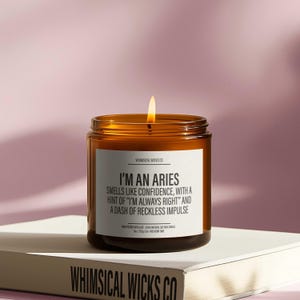 I’m an Aries Candle | Funny Zodiac Gift, Snarky Aries Candle, Perfect Birthday Present for Bold and Confident Aries Women