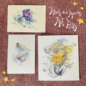Wunderschöne Sammeldrucke von Tieren und Blumen ~ Nagetiere, Rotkehlchen und Glockenblumen ~ Brontetear