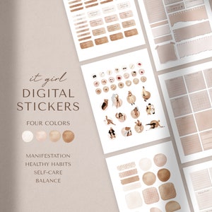 Digital Stickers | Planner Stickers | Aesthetic IT GIRL Stickers | GoodNotes Stickers | iPad Stickers | Digital Planning | Precropped