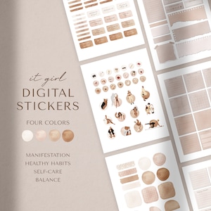 Digital Stickers | Planner Stickers | Aesthetic IT GIRL Stickers | GoodNotes Stickers | iPad Stickers | Digital Planning | Precropped