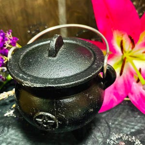 May include: A small black cast iron cauldron with a matching lid and a silver-toned metal handle. The front of the rounded pot features a raised pentacle symbol. The cauldron is positioned next to a vibrant pink lily and purple flowers.