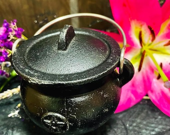 May include: A small black cast iron cauldron with a matching lid and a silver-toned metal handle. The front of the rounded pot features a raised pentacle symbol. The cauldron is positioned next to a vibrant pink lily and purple flowers.