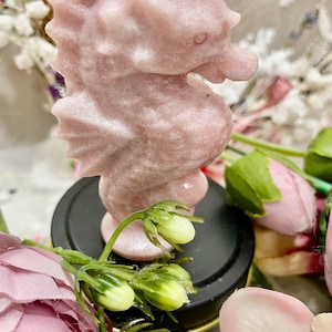 Pink Opal Crystal Seahorse Carving