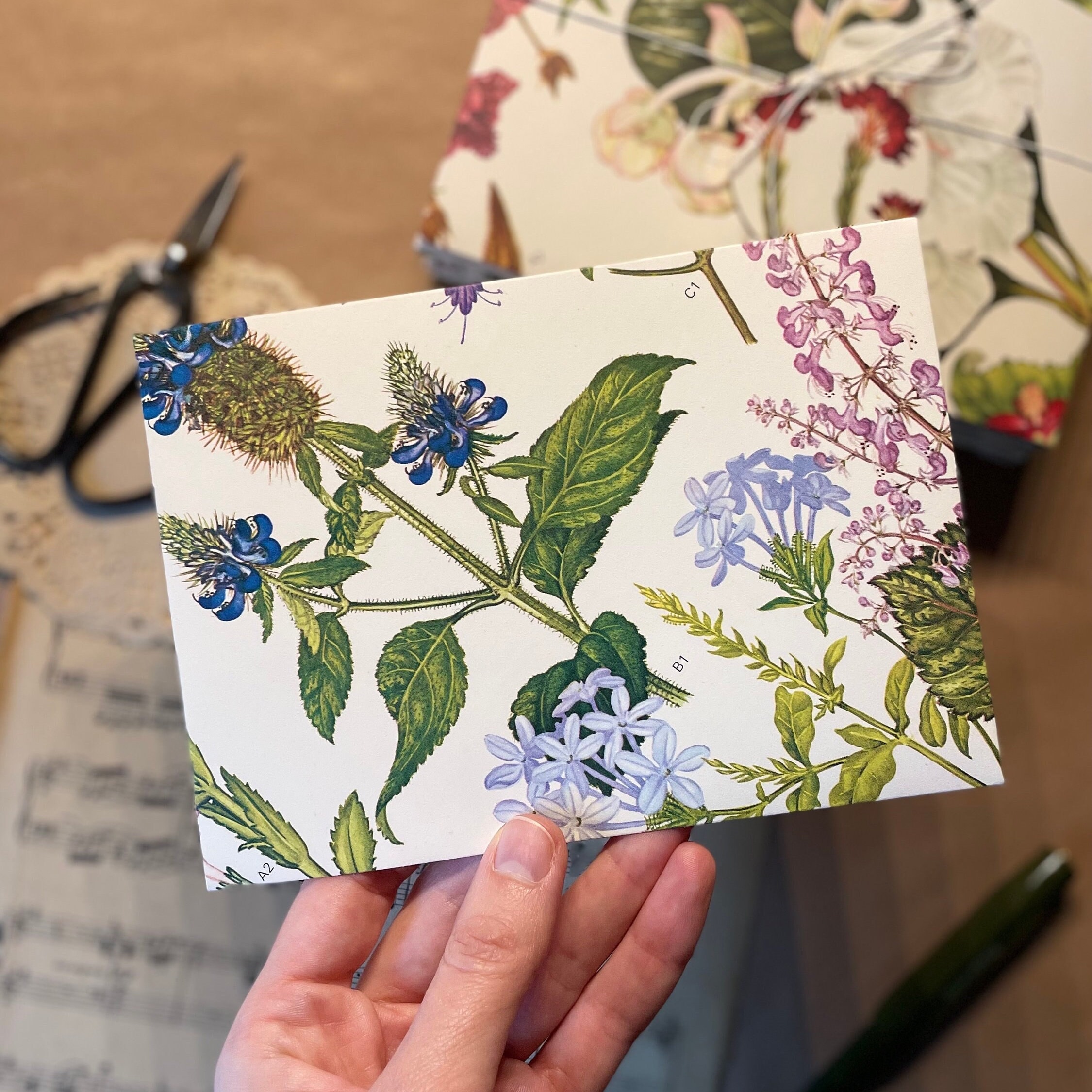 Set of Handmade Botanical Envelopes - Etsy UK