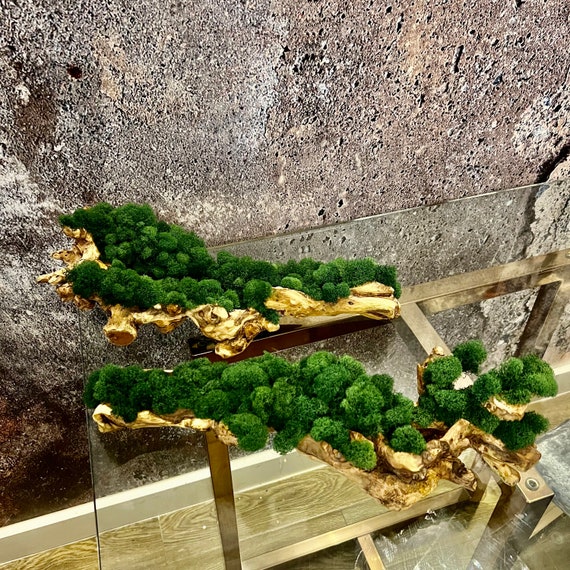 Moss Decor Grape Wood Branch With Preserved Moss, Wood Bowls, Moss Table  Centerpiece, Home Decor, Wedding Decor, Moss Arrangement 