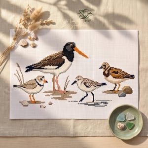 Puede incluir: Un bordado de punto de cruz sobre tela blanca que muestra cuatro aves costeras en tonos marrón, negro, blanco y naranja. El diseño incluye un ostrero grande con un pico naranja brillante y tres correlimos más pequeños sobre suelo arenoso.