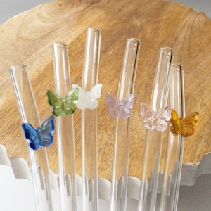 Reusable Glass Butterfly Straws For 16 ounce Libbey Glass, Eco Friendly Gift