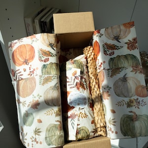 May include: An open cardboard box with autumn-themed wrapping paper featuring pumpkins and fall foliage. Inside, wrapped gifts are visible, protected by brown paper packaging. The box is held by a person.