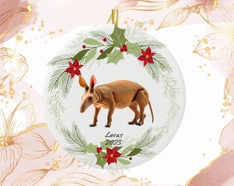 Aardvark Christmas Ornament, Personalized Aardvark Ornament, Aardvark Gift, Aardvark Christmas Tree Decor, aardvark Decoration