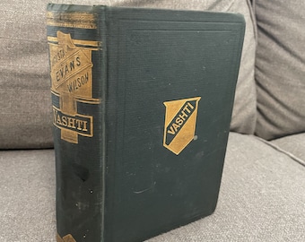 Antique Book 1888 Vashti Until Death Us Do Part Augusta Evans G W Dillingham