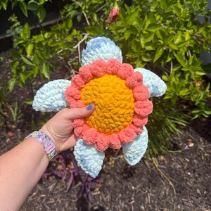 Flower Turtle