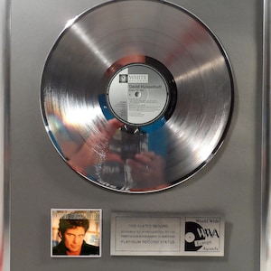 Collage with David Hasselhoff - Crazy For You + silver / gold record