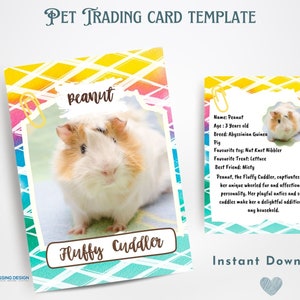 Guinea Pig Pet Trading Card Template | Pet Trading Card Template | Canva Template | Editable Trading Card | Guinea Pig Card