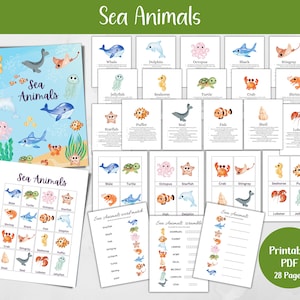 Pacote de animais marinhos para impressão, atividade infantil, aprendizagem sobre a vida marinha, impressão educacional, cartões flash para crianças, PDF para impressão, folhas de aprendizagem
