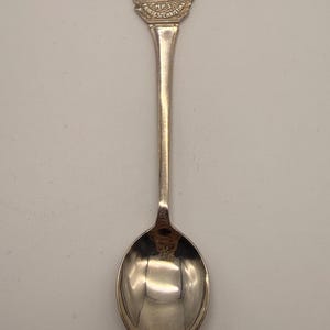 Puede incluir: Una cuchara plateada con un diseño detallado de un barco en la parte superior del mango. El barco está etiquetado como "M.P.S. PRINCESS CHRISTINA". La cuchara tiene un mango largo y delgado y un cuenco redondeado. Probablemente un recuerdo o artículo de colección.