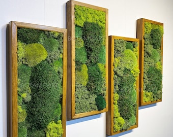 Moss Wall Art | Moss Wall Decor | Preserved Moss Art Framed | Moss Wall Sets | Moss No Maintenance Required Moss "Living" Wall  ~ "moss mix"