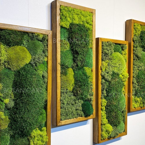 Moss Wall Art Moss Wall Decor Preserved Moss Art Framed Etsy
