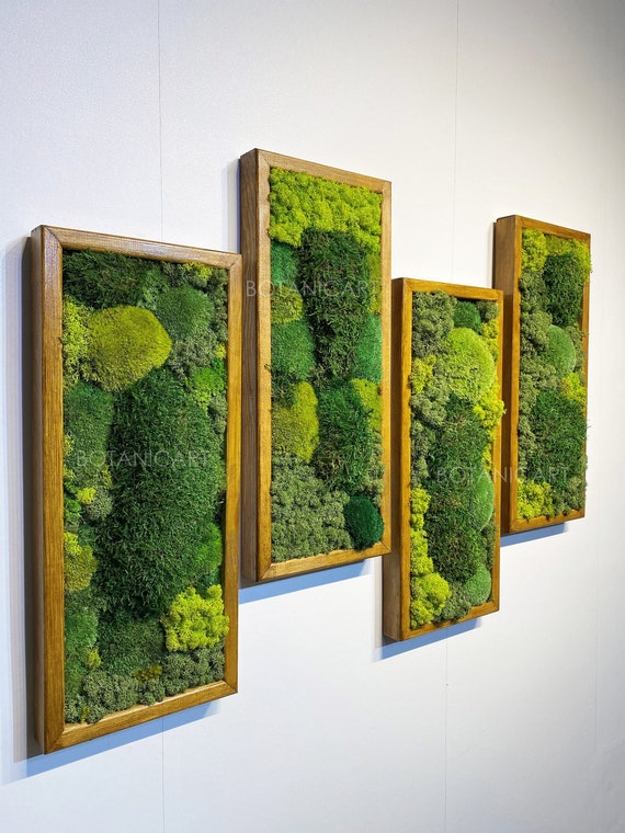 Moss Wall Art, Large Preserved Moss Decor, Living Plant Decor, Real Moss  Art Frame, Housewarming Gift 