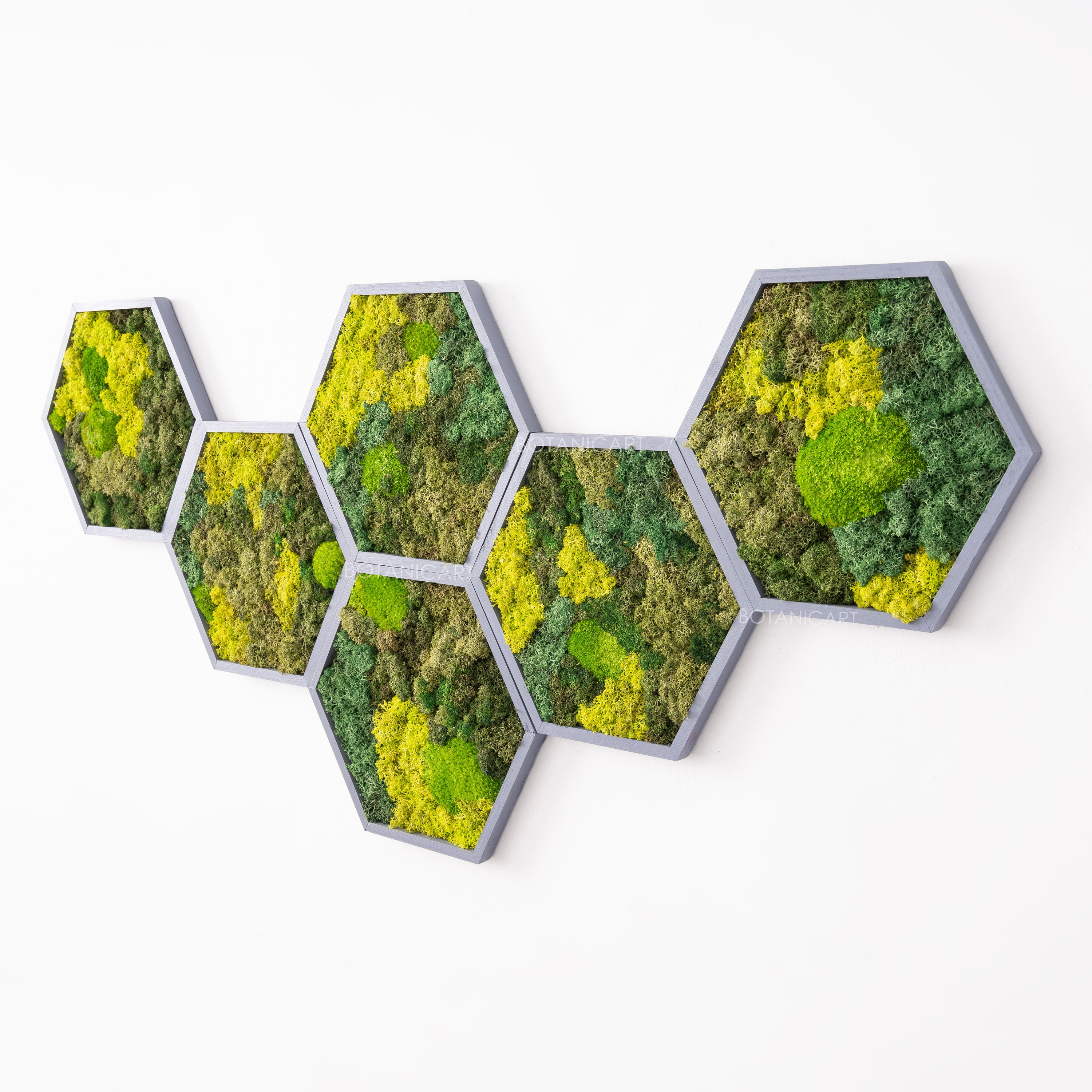 Panneaux muraux hexagonaux en mousse de jungle et bois