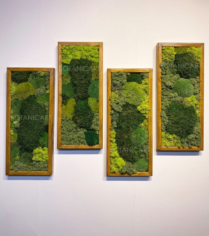 Moss Wall Art Moss Wall Decor Preserved Moss Art Framed Etsy