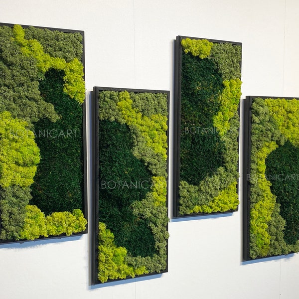 Moss Wall Art - Etsy