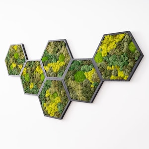 Honeycomb Decorative Wall Art, 15 Hexagons per Pack, Hexagon Shape,  Geometric Wall Design SKU:HEX15 