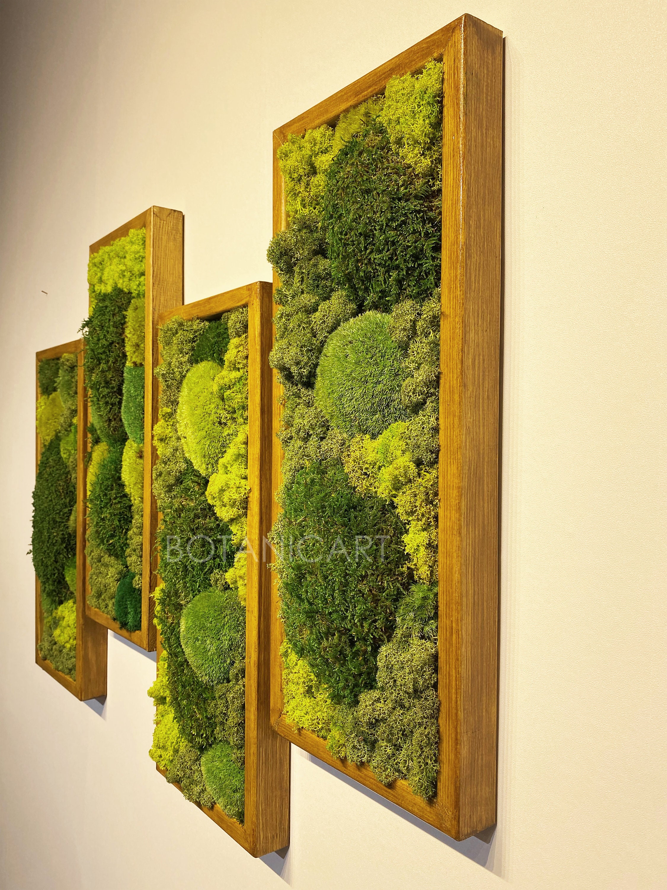 Moss wall art; Vertical Zen Garden; Preserved Moss Wall Sculpture; Pla –  ContemplativeObjects