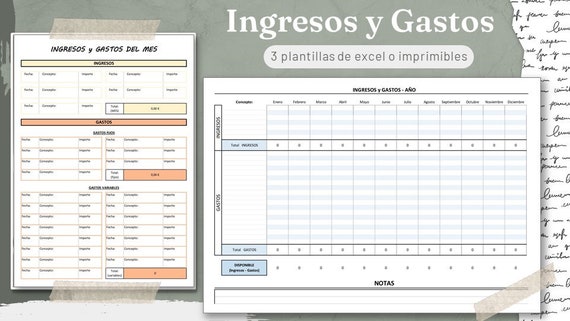 Income and Expense Template, Kakebo Excel or Printable Personal  Organization Budget Planner Financial Spreadsheet 