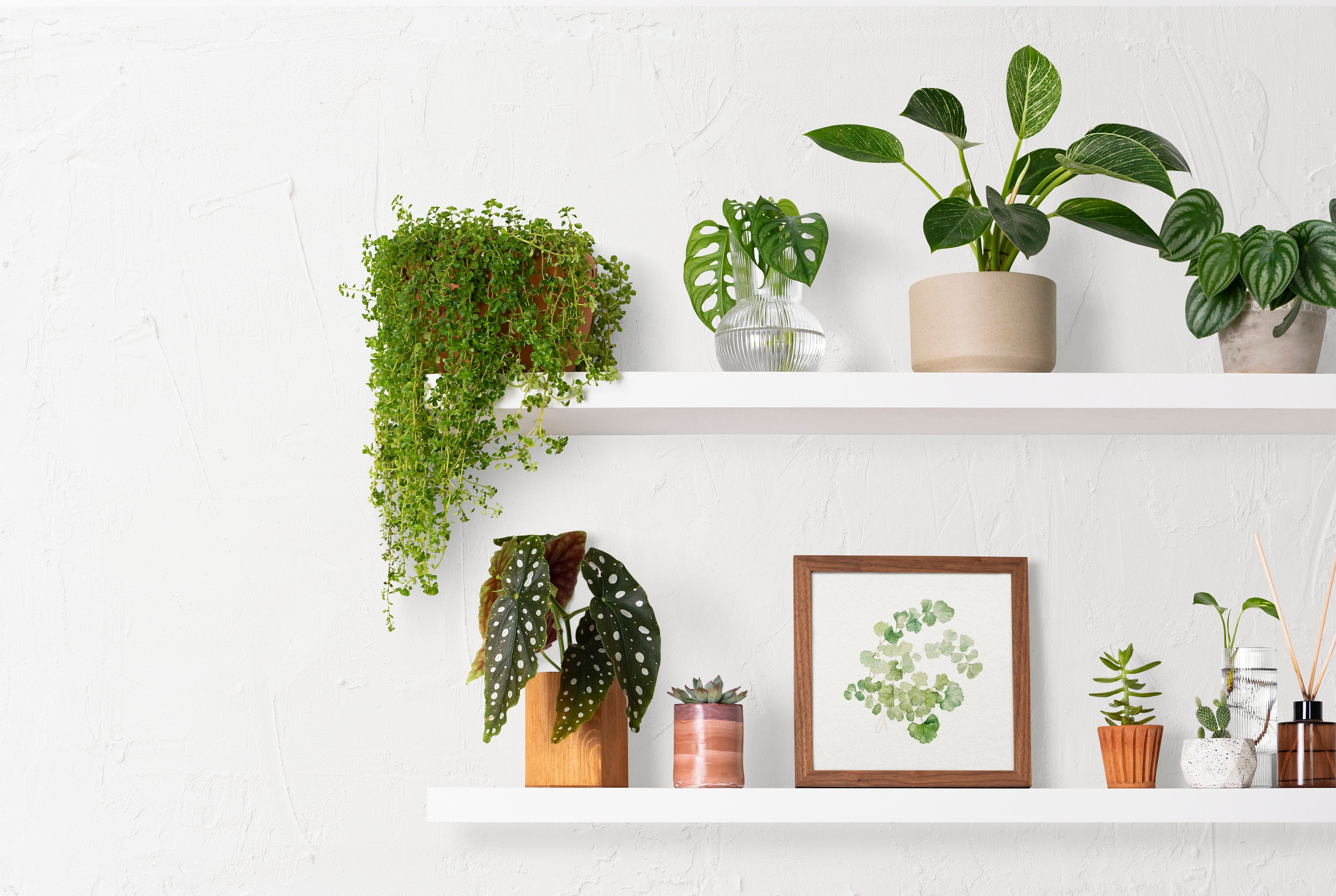 Zoom Virtual Background Zoom Call Green Screen Shelves - Etsy UK