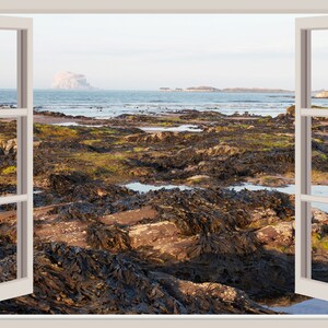 Zoom Virtual Background, Backdrop, Office Background, Microsoft Teams, Facebook, WebEx, Skype, Google Meet