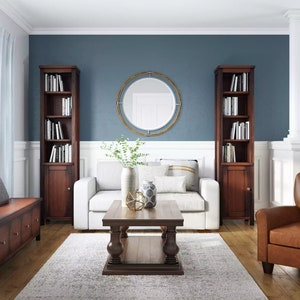 Zoom Background, Blue and White Classic Living Room, Bookshelves and Leather Sofa, Digital Image for Teams, Skype, WebEx, Google Meet