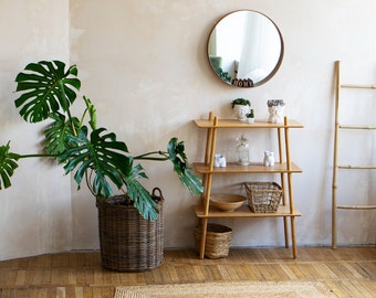 Fondo virtual de zoom, fondo realista, fondo de zoom, fondo de oficina, equipo de Microsoft, plantas verdes, Google Meet, interior de oficina