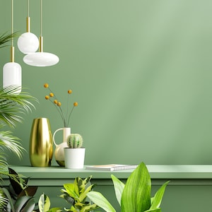 May include: A green wall with a shelf and three white pendant lights hanging from the ceiling. There are plants, a gold vase, a white vase, and a cactus in pots on the shelf.