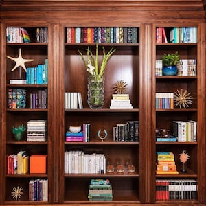 Bookshelf | Zoom Virtual Background | Nurse Zoom Background | Therapist Background | Zoom For Doctor | Microsoft Teams | Bookcase Zoom