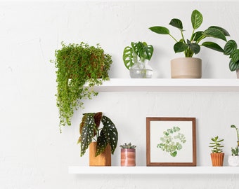 Virtual Home Office Bookshelf for Zoom Modern Backdrop for - Etsy