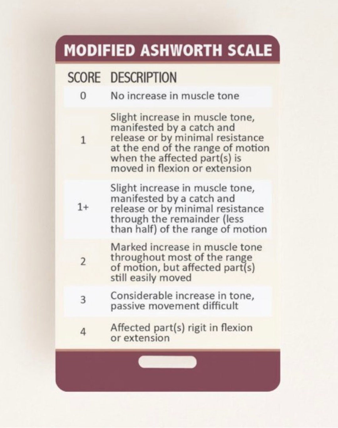 modified-ashworth-asia-impairment-scales-quick-guide-etsy