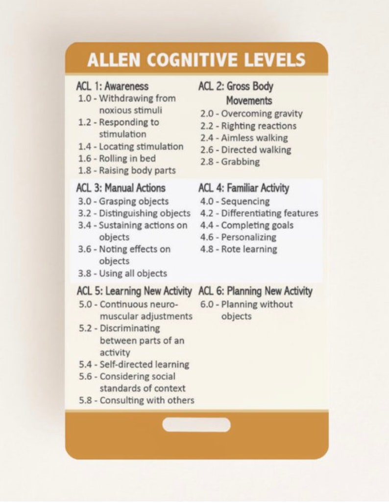 MET Levels And Activities Allen Cognitive Levels Quick Guide Etsy