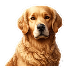 Golden Retriever Vinyl Sticker