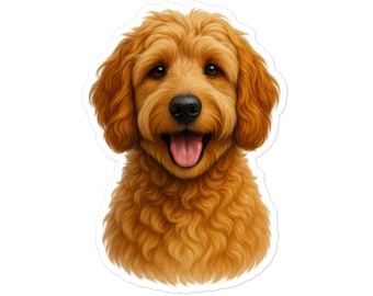 Goldendoodle - Naklejka z rysunkiem