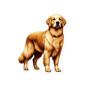 Golden Retriever Vinyl Sticker