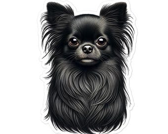 Naklejka z czarnym długowłosym chihuahua